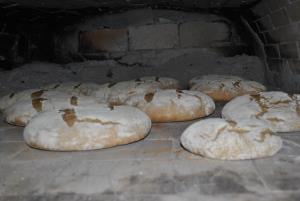 Ljubno_Turistična_kmetija_Kladje (5)